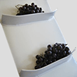 Cintas Transportadoras De Pvc